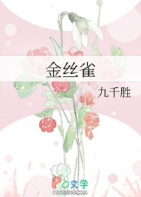 金丝雀