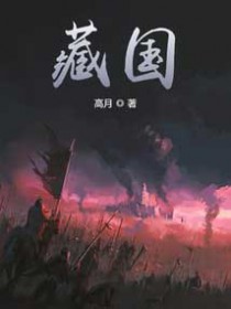 藏国