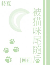 [网王] 被猫咪尾随后